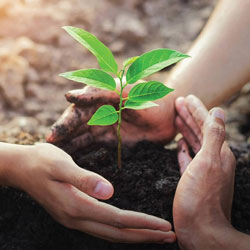 C Social Responsibility