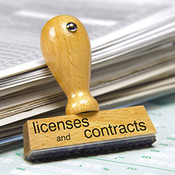 Business License